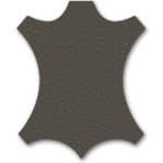 Evolve Libraries