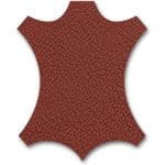 Evolve Libraries